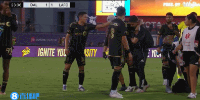 jg, gif, net
